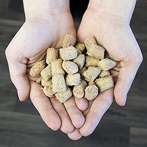 Stella & Chewy's Freeze-Dried Raw Carnivore Crunch Grass-Fed Beef Recipe Dog Treats – 3.25 oz. Bag