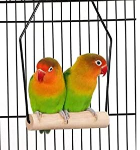 Round Bird CAGE for Small Size Birds Flight, Cockatiel Lovebird Finches Canary Parakeet Aviary Budgie (13" D X 25" H, Black)