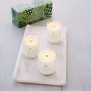 Soap & Paper Factory Roland Pine Votive Trio Gift Set - 3 x 2.4 oz Votive Soy Candles