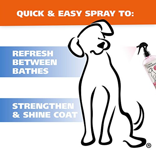 Wahl Cornflower Aloe Pet Deodorant Spray for All Dogs & Cats – Clean Fresh Smell Refreshes & Deodorizes – 8 oz - Model 820009A