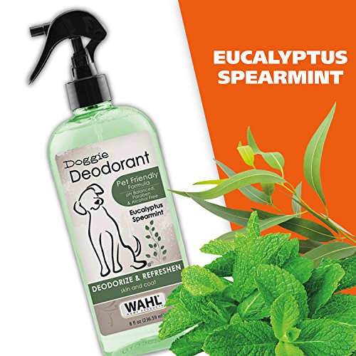 Wahl Deodorizing & Refreshing Pet Deodorant for Dogs - Eucalyptus & Spearmint Scent to Refresh the Skin and Coat - Model 820011A