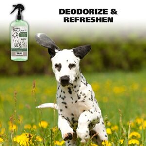 Wahl Deodorizing & Refreshing Pet Deodorant for Dogs - Eucalyptus & Spearmint Scent to Refresh the Skin and Coat - Model 820011A