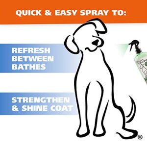 Wahl Deodorizing & Refreshing Pet Deodorant for Dogs - Eucalyptus & Spearmint Scent to Refresh the Skin and Coat - Model 820011A