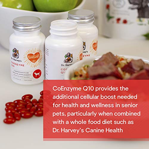 Dr. Harvey's Coenzyme Q10 - Heart & Cardiovascular Support Supplements for Dogs, 60 Capsules