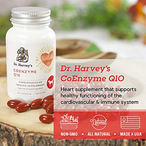 Dr. Harvey's Coenzyme Q10 - Heart & Cardiovascular Support Supplements for Dogs, 60 Capsules