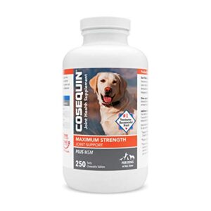 nutramax cosequin maximum strength joint health supplement for dogs - with glucosamine, chondroitin, and msm, 250 chewable tablets