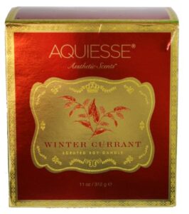 aquiesse winter currant scented soy candle - 11 oz.