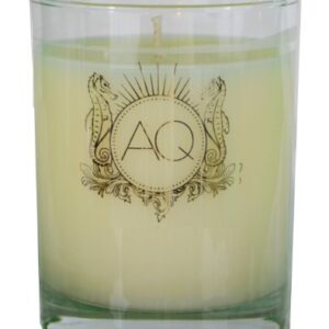 Aquiesse Winter Currant Scented Soy Candle - 11 oz.