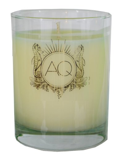 Aquiesse Winter Currant Scented Soy Candle - 11 oz.