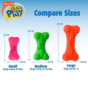 Hartz Dura Play Bacon Scented Bone Dog Toy - Small ( Colors may vary )