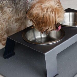 PetFusion Premium 304 Food Grade Stainless Steel Dog & Cat Bowls. Cat Bowls Shallow & Wide for Relief of Whisker Fatigue, 56-Ounce, Stainless