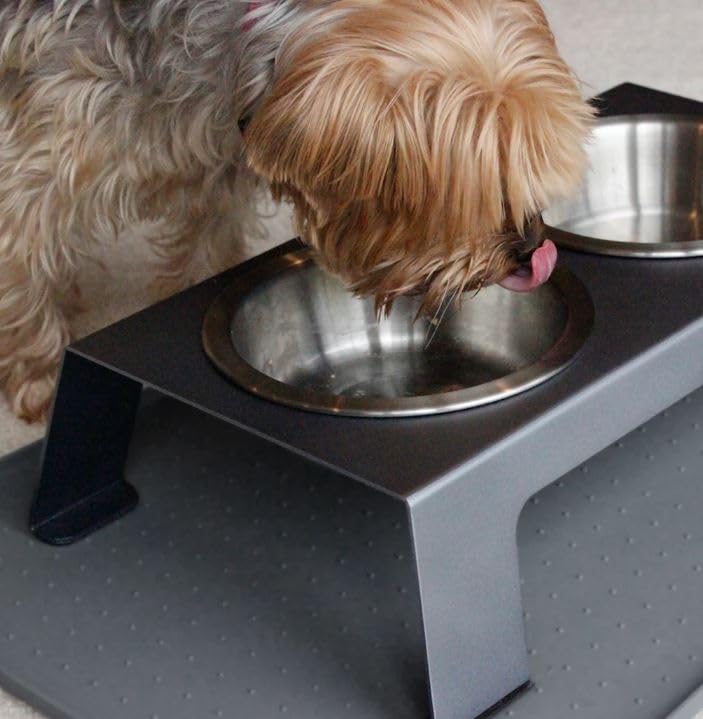 PetFusion Premium 304 Food Grade Stainless Steel Dog & Cat Bowls. Cat Bowls Shallow & Wide for Relief of Whisker Fatigue, 56-Ounce, Stainless