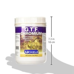 Uckele G.T.F. Chromium Horse Supplement - Equine Vitamin & Mineral Supplement - 2 pound (lb)