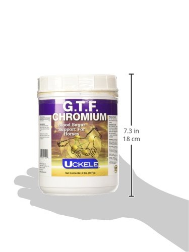 Uckele G.T.F. Chromium Horse Supplement - Equine Vitamin & Mineral Supplement - 2 pound (lb)