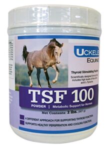 uckele tsf 100 horse supplement - equine vitamin & mineral supplement - 2 pound (lb)