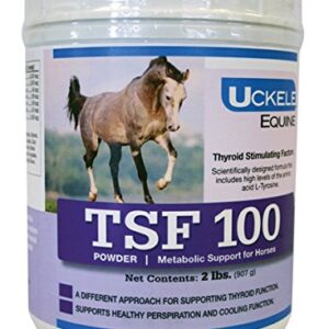 Uckele TSF 100 Horse Supplement - Equine Vitamin & Mineral Supplement - 2 Pound (lb)