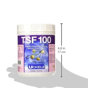 Uckele TSF 100 Horse Supplement - Equine Vitamin & Mineral Supplement - 2 Pound (lb)