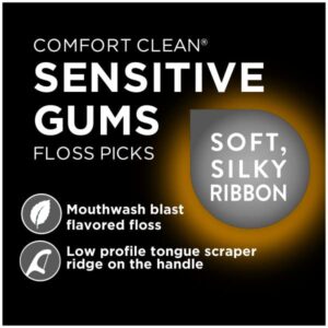 DenTek Comfort Clean Sensitive Gums Floss Picks | Soft & Silky Ribbon | 19 Count Each | Pack of 3