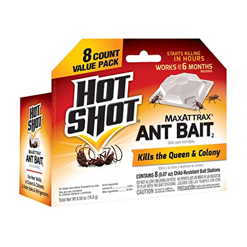 Hot Shot Insect Killer, Pack of 1