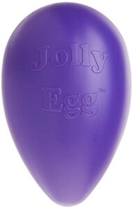 jolly pets jolly egg dog toy, 12 inches/large, purple