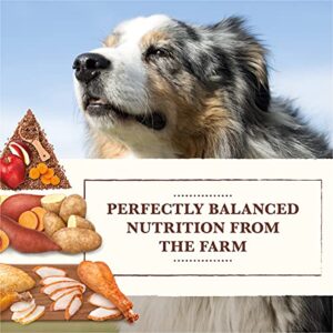 Whole Earth Farms Grain Free Recipe Dry Dog Food, Chicken & Turkey, 25-Pound