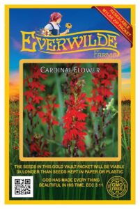 everwilde farms - 2000 cardinal flower native wildflower seeds - gold vault jumbo seed packet