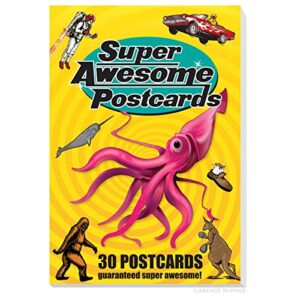 accoutrements super awesome postcard book