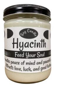 hyacinth 16 ounce jar candle - all natural handmade soy candle
