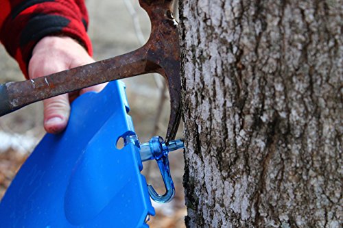 Maple Syrup Tapping Kit - Plastic Bucket, Bucket Lid, and Maple Sap Tapping 5/16" Tree Saver Spile/Spout - (Pack of 2)