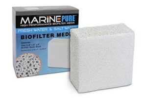 cermedia marinepure block bio-filter media for marine and freshwater aquariums, 8 by 8 by 4-inch