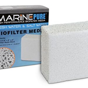 CerMedia MarinePure Block Bio-Filter Media for Marine and Freshwater Aquariums, 8 by 8 by 4-Inch