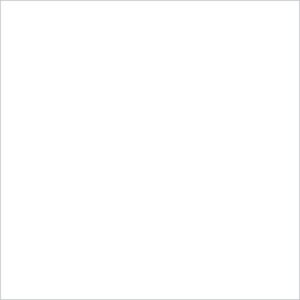 White Cardstock - 12 x 12 inch - 65Lb Cover - 25 Sheets - Clear Path Paper