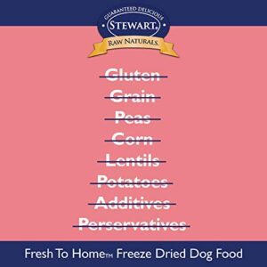 Stewart Raw Naturals Freeze Dried Dog Food Grain Free Made in USA with Chicken & Salmon, Fruits, & Vegetables for Fresh to Home All Natural Recipe, 12 oz.