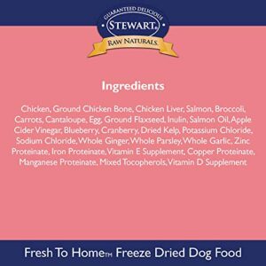 Stewart Raw Naturals Freeze Dried Dog Food Grain Free Made in USA with Chicken & Salmon, Fruits, & Vegetables for Fresh to Home All Natural Recipe, 12 oz.