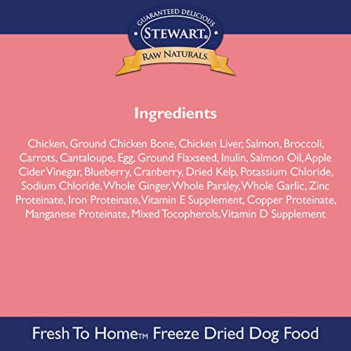 Stewart Raw Naturals Freeze Dried Dog Food Grain Free Made in USA with Chicken & Salmon, Fruits, & Vegetables for Fresh to Home All Natural Recipe, 12 oz.