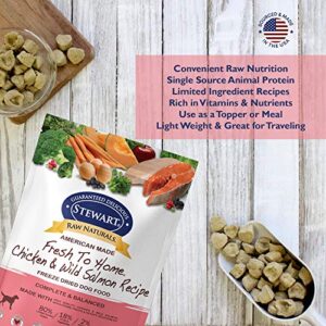 Stewart Raw Naturals Freeze Dried Dog Food Grain Free Made in USA with Chicken & Salmon, Fruits, & Vegetables for Fresh to Home All Natural Recipe, 12 oz.