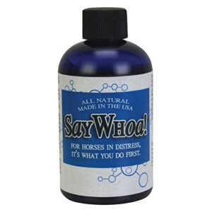 say whoa for horses in distress: promotes normal digestive flow, blue, 4wx10l