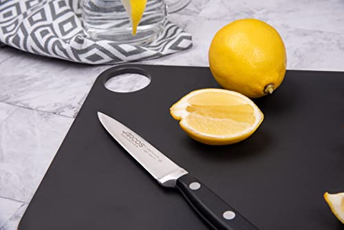 ARCOS Cutting Board 15x11 Inch Resin and Cellulose Fibre 377x277 mm. 963 gr. Chopping Board. Series Tablas. Color Black