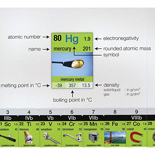 Carolina Student Infographic Periodic Table