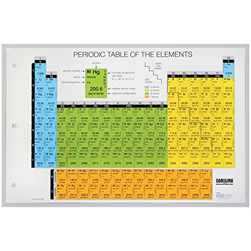 Carolina Student Infographic Periodic Table