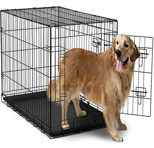 Dog Crates for Extra Large Dogs - XL Dog Crate 42" Pet Cage Double-Door Best for Big Pets - Wire Metal Kennel Cages with Divider Panel & Tray - in-Door Foldable & Portable for Animal Out-Door Travel