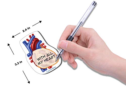 Heart Sticking Notes, Human Heart 2 Pack-100 Sheets Per Pack Physician, Cardiologists, Cardiovascular, pulmanary