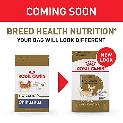 Royal Canin Chihuahua Adult Dry Dog Food, 10 lb bag