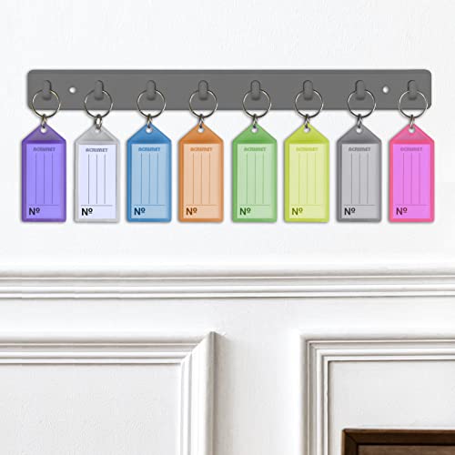 Acrimet Key Tag with Metal Ring and Paper Key Label (Plastic) (Assorted Colors) (24 Pack)