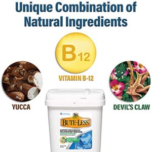 Bute-Less Comfort & Recovery Supplement Pellets, Healthy Inflammatory Response, 5 lb / 80 Day Supply