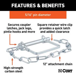 CURT 25034 Trailer Coupler Pin with 12-Inch Chain, 5/16-Inch Diameter x 3-Inch Long, Clear ZINC