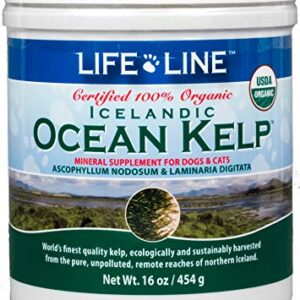 Life Line Pet Nutrition Organic Ocean Kelp Supplement for Skin & Coat, Digestion in Dogs & Cats,16oz, 20101