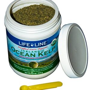 Life Line Pet Nutrition Organic Ocean Kelp Supplement for Skin & Coat, Digestion in Dogs & Cats,16oz, 20101