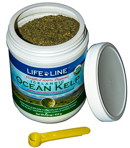 Life Line Pet Nutrition Organic Ocean Kelp Supplement for Skin & Coat, Digestion in Dogs & Cats,16oz, 20101