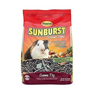 higgins sunburst guinea pig 6 lbs